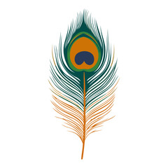 Obraz premium Peacock Feather Striking Colorful Design