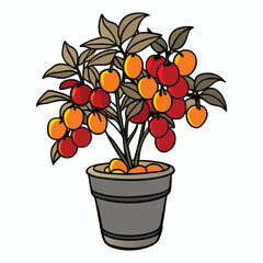 fruit plant in pot