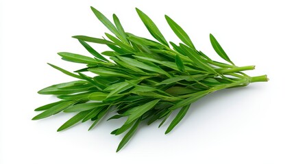 Fototapeta premium A lush bunch of fresh green leaves gathered together isolated on a bright white background for culinary inspiration