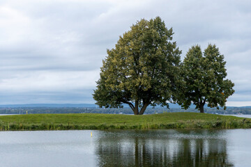 Waterside with trees in the park in summer. Andrew Haydon Park in the evening in Ottawa, Canada