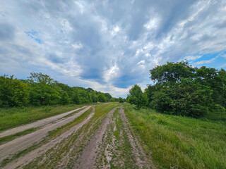 Dirt road leading into lush green forest under cloudy sky