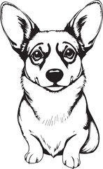 Corgi puppy. Hand drawn vector illustration