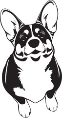 Corgi puppy. Hand drawn vector illustration