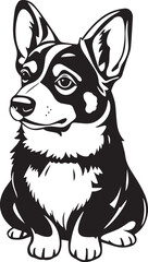Corgi puppy. Hand drawn vector illustration