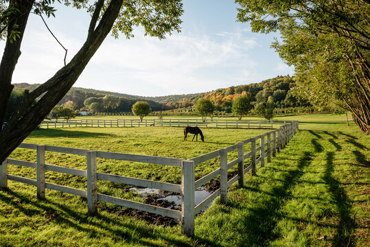Corner of a small enclosure for horses. Wide angle view of a horse grazing in a paddock with white fence. Countryside landscape with hill range in the background.
