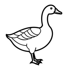 Vector illustration of a duck isolated on a white background