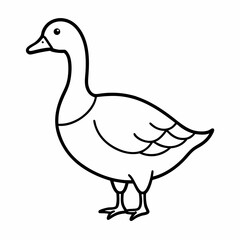 Vector illustration of a duck isolated on a white background