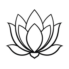 lotus flower vector