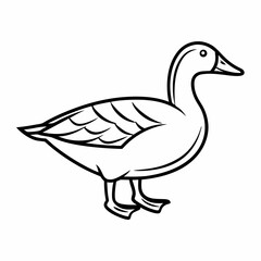 Obraz premium Vector illustration of a duck isolated on a white background