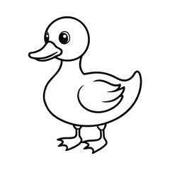 duck and ducklings