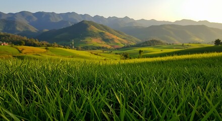 Fototapeta premium Serene Green Valley Sunset Warm Light. AI Generated
