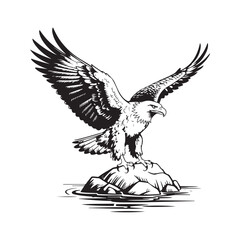 Obraz premium Uncommon Eagle Vector File
