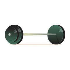 Sport Essentials: colored – Minimalist Athletic Vector for Fitness & Gym Equipment weight barbell dumbbell	
