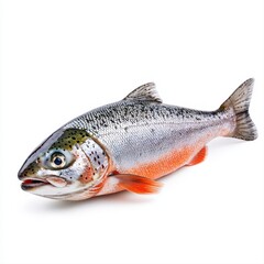 Obraz premium Whole fish on a bright white background displaying its texture and freshness for culinary and cooking applications