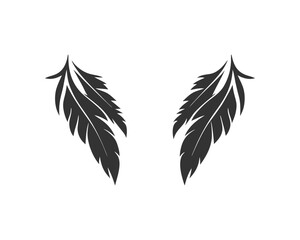 black and white feathers