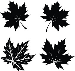 Set of Silhouette Autumn Leaves, Maple Silhouette designs