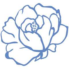 Line Art Blue Flower. Vector Illustration.
