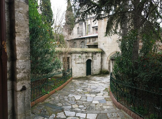 Arched building entrance with carved stone detailing and lush green plants Historic doorway framed by garden growth and softly weathered wall textures