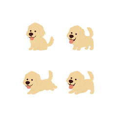 Funny golden retriever flet design collection, vector illustration © Totostarkk9456
