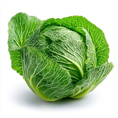 Fototapeta premium A single cabbage isolated on a clean white background highlighting its green leaves and nutritional benefits for cooking