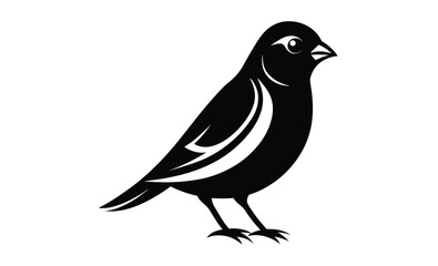Elegant canary vector silhouette, elegant Canary Illustration Vector  