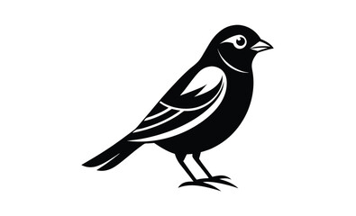 Elegant canary vector silhouette, elegant Canary Illustration Vector  