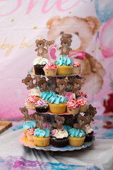 Gender Reveal Baby Shower Vanilla and Chocolate Cupcakes on a stand