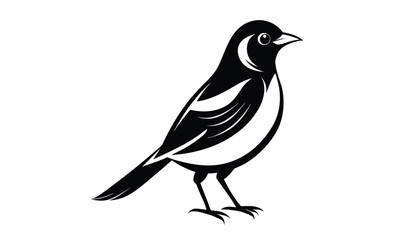 Vector illustration songbird silhouette 