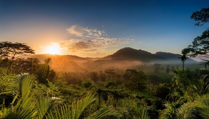 sunrise in the jungle