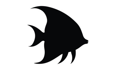 Angelfish fish vector silhouette, angelfish fish on white background 