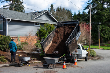 Spring gardening, landscaping crew with heavy duty truck with lift bed full of fresh new ground bark to spread in a home garden, sunny day in residential neighborhood  © knelson20