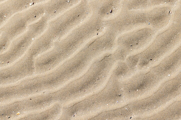 Close-up view of sand with rippled patterns formed by natural processes
