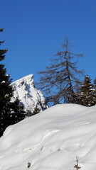 Fototapeta premium Blick zur Bösen Nase 2229m