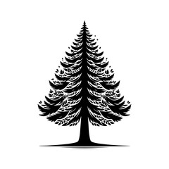 Set of Christmas Trees in a Winter Forest with Snow and Evergreen Branches