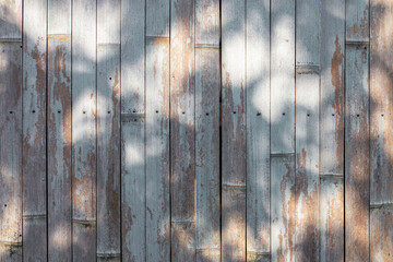 Sunlight filters through the trees, illuminating and casting shadows on the bamboo wall, creating a play of light and shadow in a tranquil outdoor setting