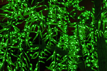 Close-up of green decorative LED lights on branches.