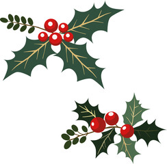 Holly leaves and fruits (Ilex aquifolium). Christmas holly berries icon. Vector illustration. © Mikhail