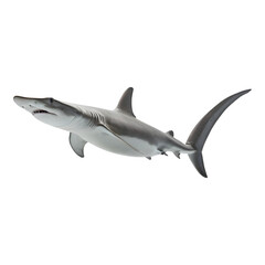 Fototapeta premium Sleek and Powerful Hammerhead Shark