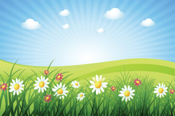 summer meadow with flowers