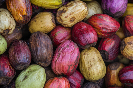 Kola nuts are the seeds of the kola tree, known for their stimulating properties