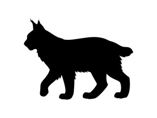 Montana lynx silhouette vector flat illustration design.