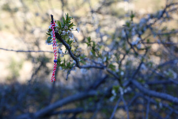 A white and red wool martenitsa bracelet that is hung from flowering trees to grant your wishes....