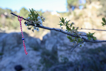 A white and red wool martenitsa bracelet that is hung from flowering trees to grant your wishes. Concept: spring