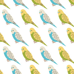 Seamless pattern with cute green and blue budgerigars on white background. Tropical wild parrots. Wildlife or zoo. Exotic birds. Vector flat illustration for wallpaper, textile, packaging