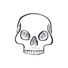 Hand drawn black and white line art human skull isolated on white background. Monochrome doodle skeleton head tattoo design