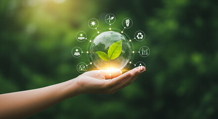 Sustainable Future: Hand Holding Globe with Green Energy Icons. Embracing Eco-Friendly Solutions & a Healthy Planet.