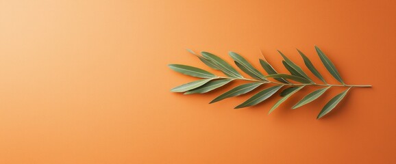 Olive Branch on Orange Background