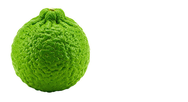 A close up of a single green citrus fruit with a textured rind against a black background space