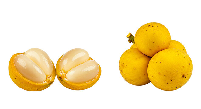 Close up of lanzones fruit with one cut open showing white segments against a black background