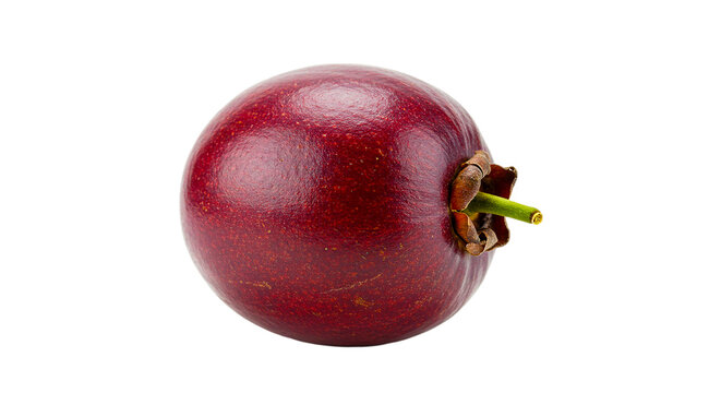 Close up shot of a single java apple fruit with a stem on a black background in studio lighting